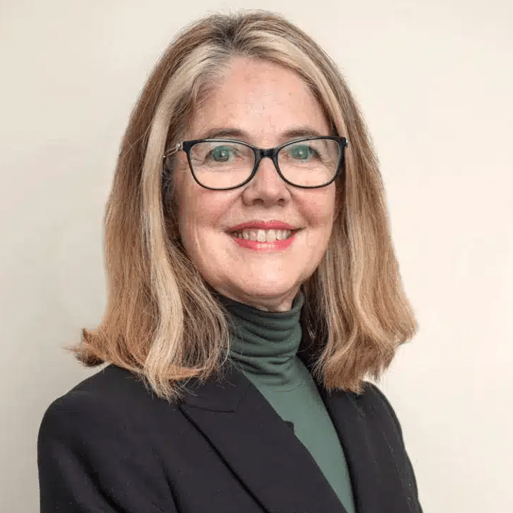 Profile photo of Ana Velly DDS, MSc, PhD