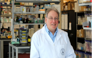 Profile photo of J. Paul Santerre PhD, PEng